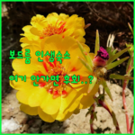 image c4ef745c