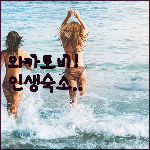 와카토비 여행 완치 지역별 베스트 숙소 추천 및 객실 사진 정보