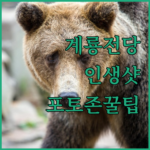 image 320f9447