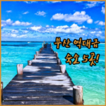 image 36ef89e4