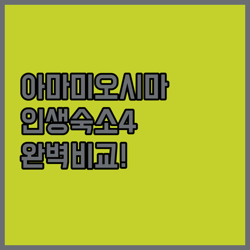 일본 아마미 오시마 숙소 추천 및 4곳 위치 시설 비교 분석