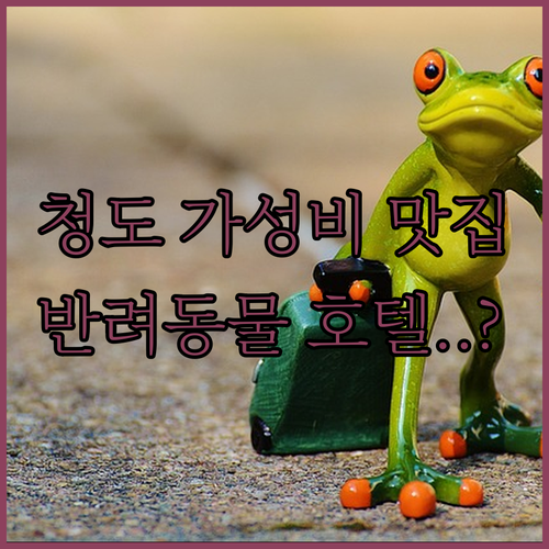 청도 고등학교 상권 가성비 식사 메뉴와 반려동물 동반 가능한 청도 호텔 정보