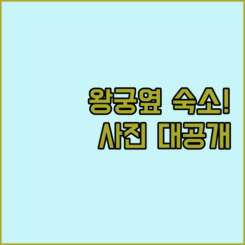 왕궁 근처 프놈펜 인기 숙소 위치와 부대시설 사진 확인하기
