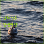 image a6d5e171