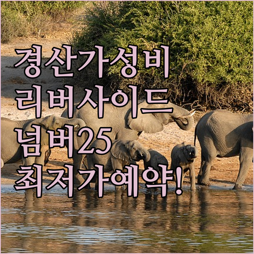 경산 가성비 호텔 넘버25 호텔 하루 리버사이드 비교와 실시간 예약 정보