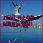 image af8f9c47