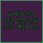 image 3fe8d91e