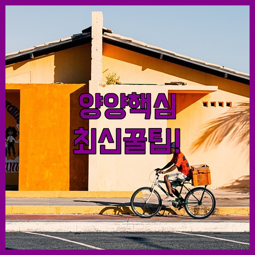 양양 낙산 해수욕장 주변 숙소 추천 5곳 시설 후기 예약 정보 총정리