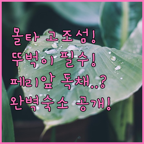 몰타 고조 섬 숙소 추천 뚜벅이 여행자를 위한 페리 근처와 프라이빗 독채