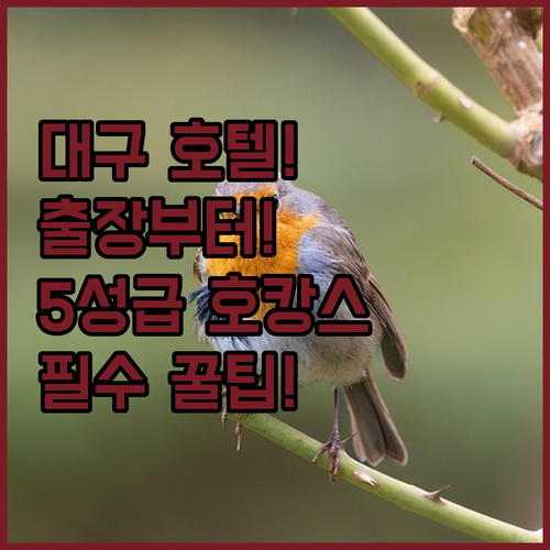 대구 호텔 추천 출장부터 5성급 호캉스까지 어디가 좋을까?