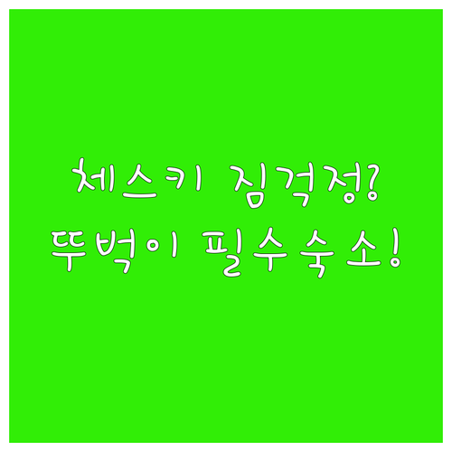 체스키 크룸로프 숙소 추천 짐 이동이 걱정되는 뚜벅이 여행자를 위한 선택