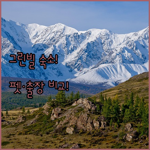 그린빌 숙소 추천 출장객과 반려동물 동반 여행을 위한 조건 비교