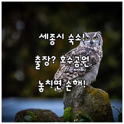 세종시 숙소 추천 출장과 호수공원 휴식 중 어디에 묵으면 좋을까?