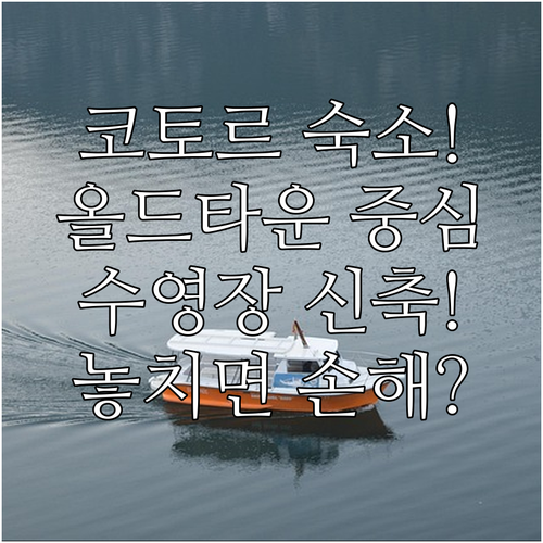 코토르 숙소 추천 올드타운 중심부터 수영장 있는 신축까지